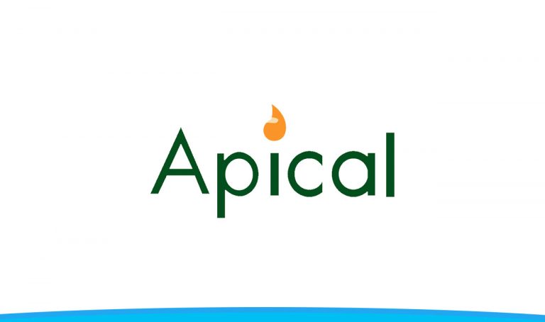 Lowongan Kerja Apical Group Ltd | Management Trainee Tahun 2020