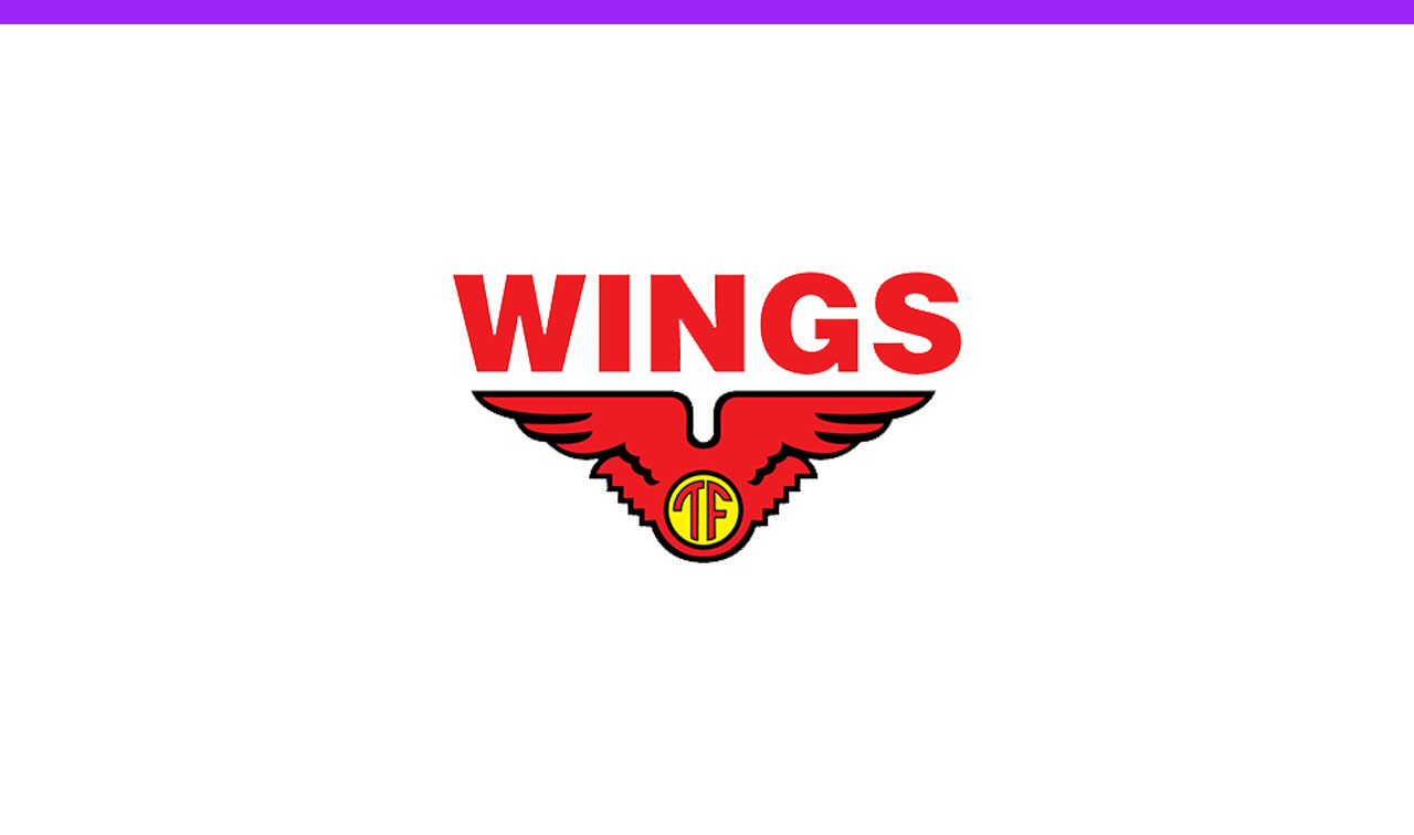 Lowongan PT Sayap Mas Utama (Wings Group)