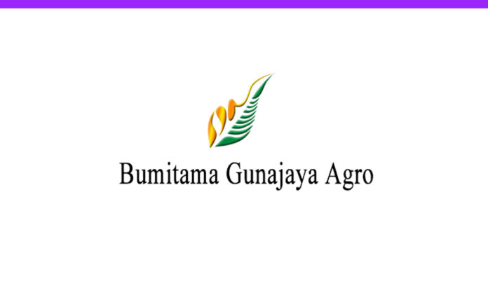 Lowongan Kerja PT Bumitama Gunajaya Agro