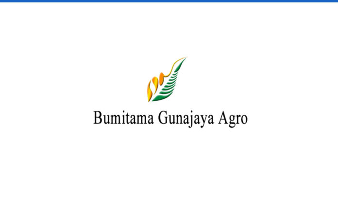 Lowongan Management Trainee PT Bumitama Gunajaya Agro