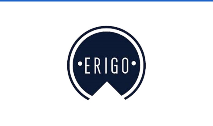 Lowongan Kerja Corporate Finance Manager Erigo Indonesia