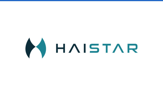 Lowongan Kerja PT Bintang Dagang Internasional (Haistar)