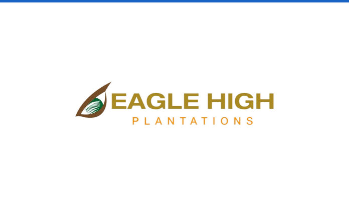 Lowongan Kerja PT Eagle High Plantations Tbk