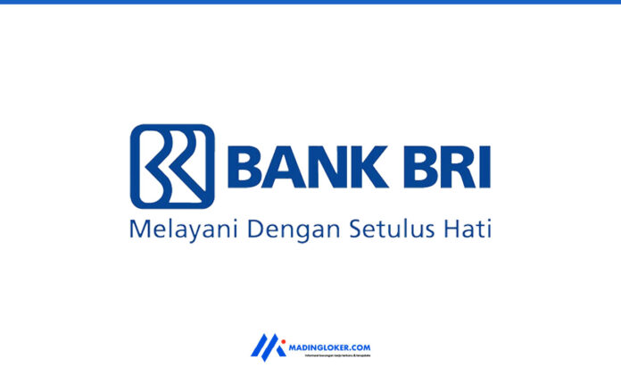 Lowongan Brilian Internship Program Bank BRI