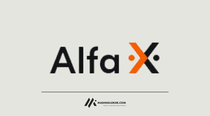 Lowongan Kerja PT Sumber Alfaria Trijaya Tbk (Alfa X)