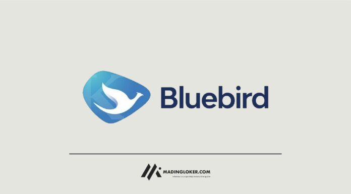 Rekrutmen Management Development Program Blue Bird Group