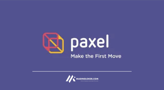 Info Lowongan Kerja PT Paxel Algorita Unggul (PAXEL)