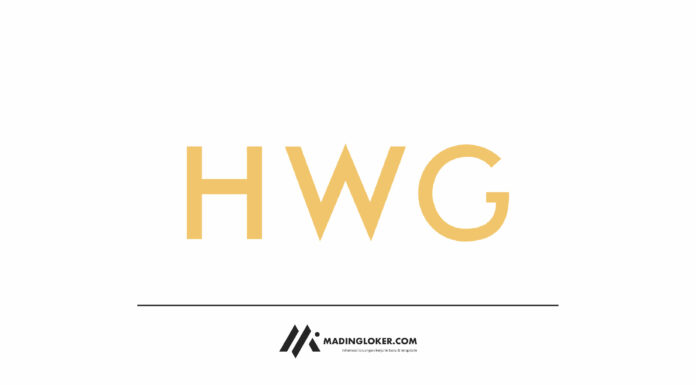 Lowongan Kerja Terbaru PT Aneka Bintang Gading (HW Group)