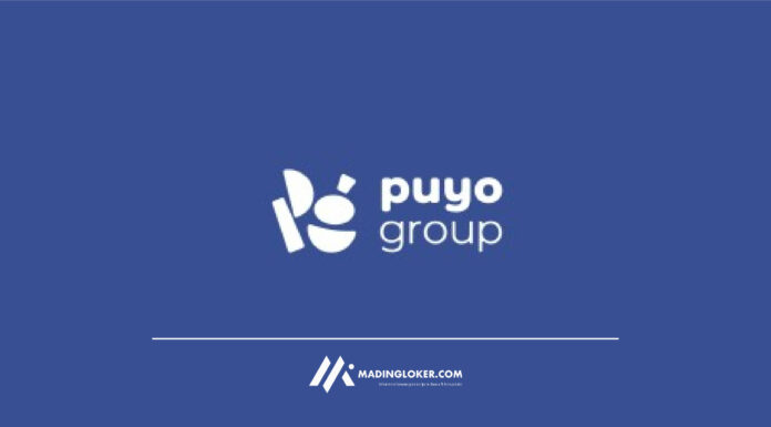 Lowongan Kerja PT Puyo Grup Indonesia (Puyo Group)