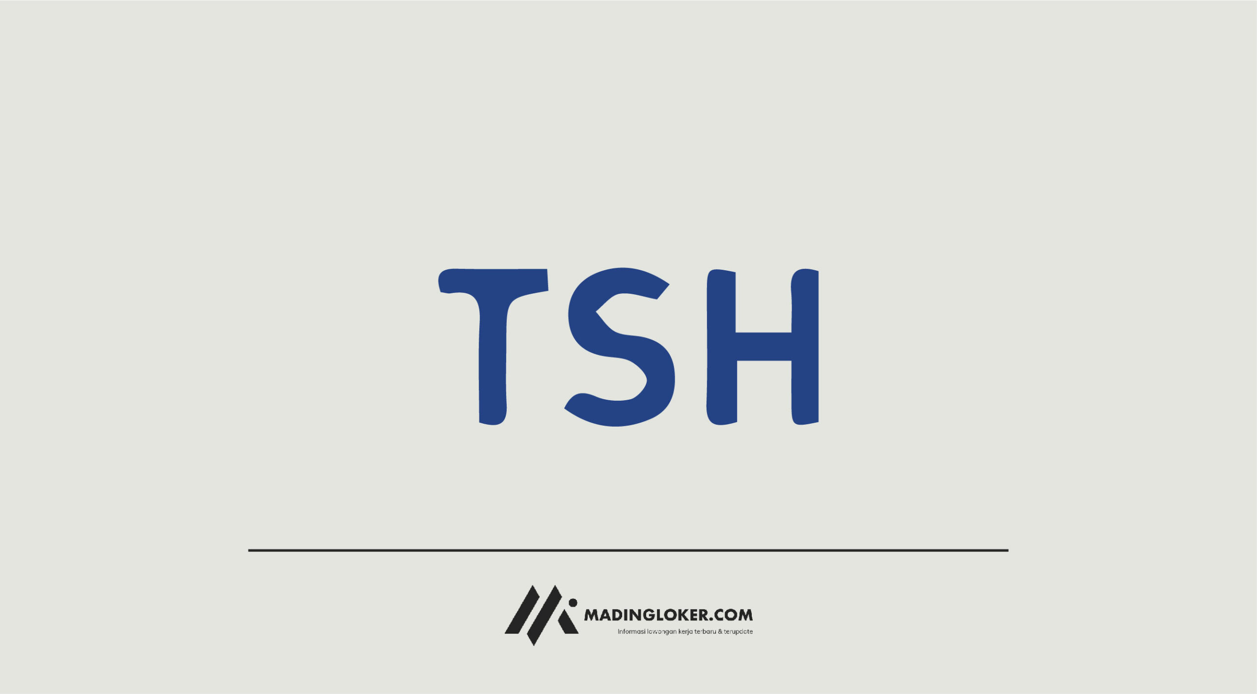 Lowongan Kerja PT Tah Sung Hung