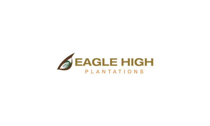 Lowongan Kerja PT Eagle High Plantations Tbk