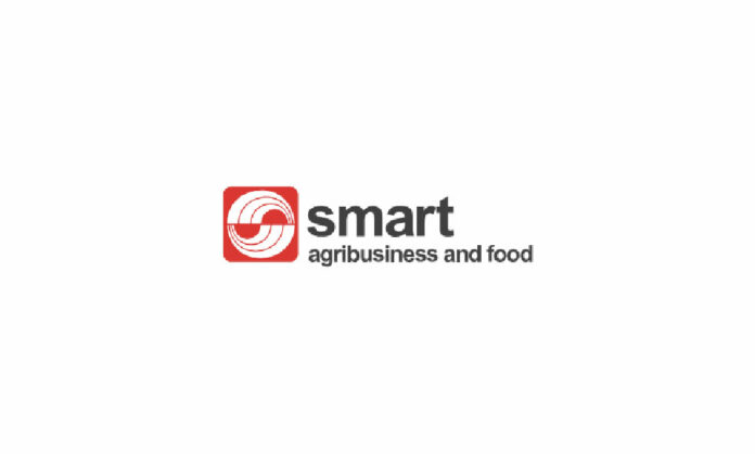 Program Magang PT SMART Tbk (Sinar Mas Agribusiness and Food)